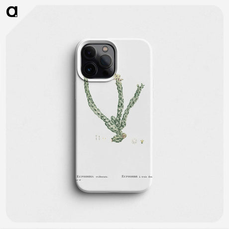 1-30_Histoire-des-Plantes-Grasses_phone