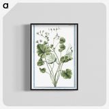 1-30_Hortus-Romanus-Botanical-Plates_blk-crop