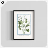 1-30_Hortus-Romanus-Botanical-Plates_blk