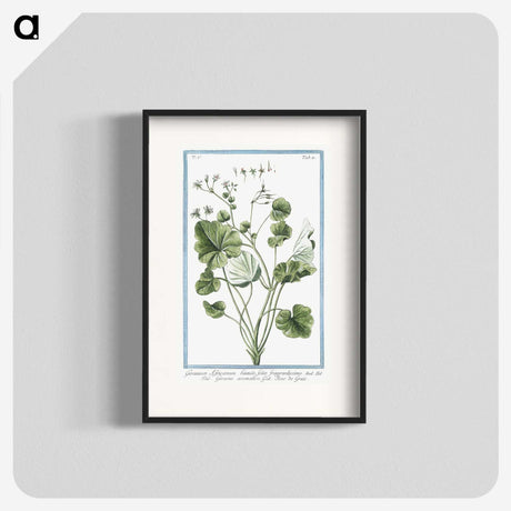 1-30_Hortus-Romanus-Botanical-Plates_blk