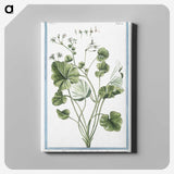 1-30_Hortus-Romanus-Botanical-Plates_canvas