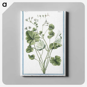 1-30_Hortus-Romanus-Botanical-Plates_canvas