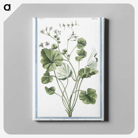 1-30_Hortus-Romanus-Botanical-Plates_canvas