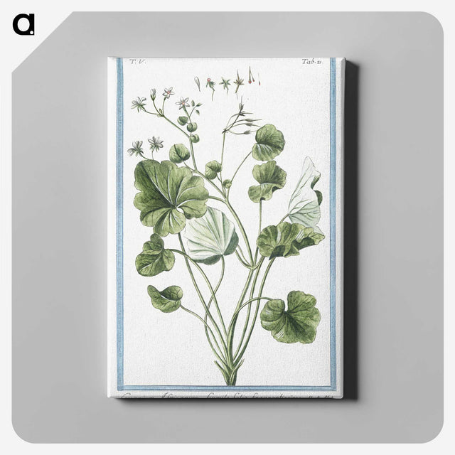 1-30_Hortus-Romanus-Botanical-Plates_canvas