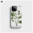 1-30_Hortus-Romanus-Botanical-Plates_phone
