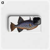 1-30_Ichtyologie-ou-Histoire-naturelle_phone