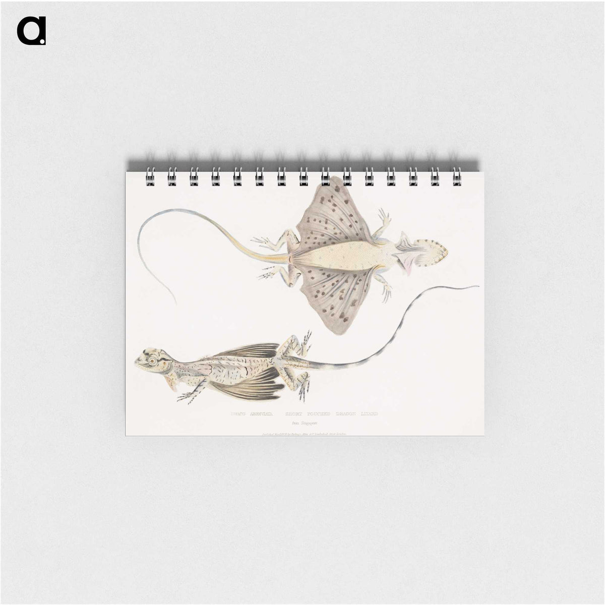 1-30_Indian-Zoology_memo