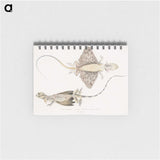 1-30_Indian-Zoology_memo