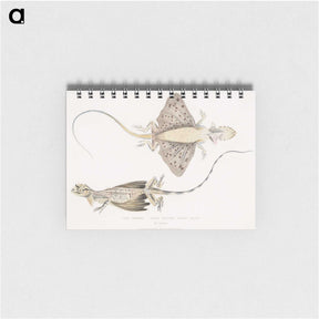 1-30_Indian-Zoology_memo