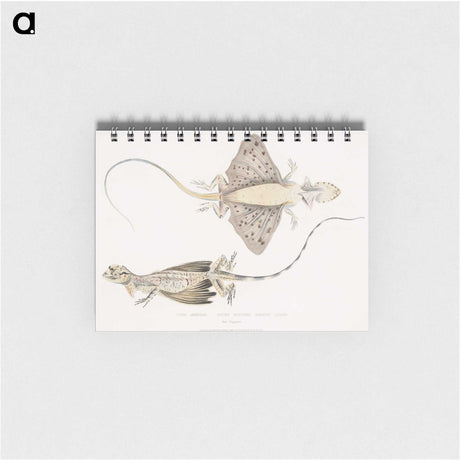 1-30_Indian-Zoology_memo