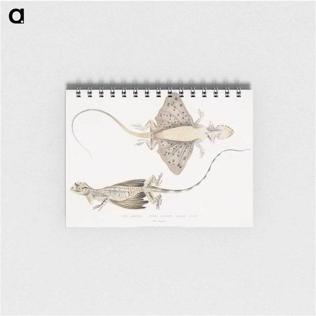 1-30_Indian-Zoology_memo