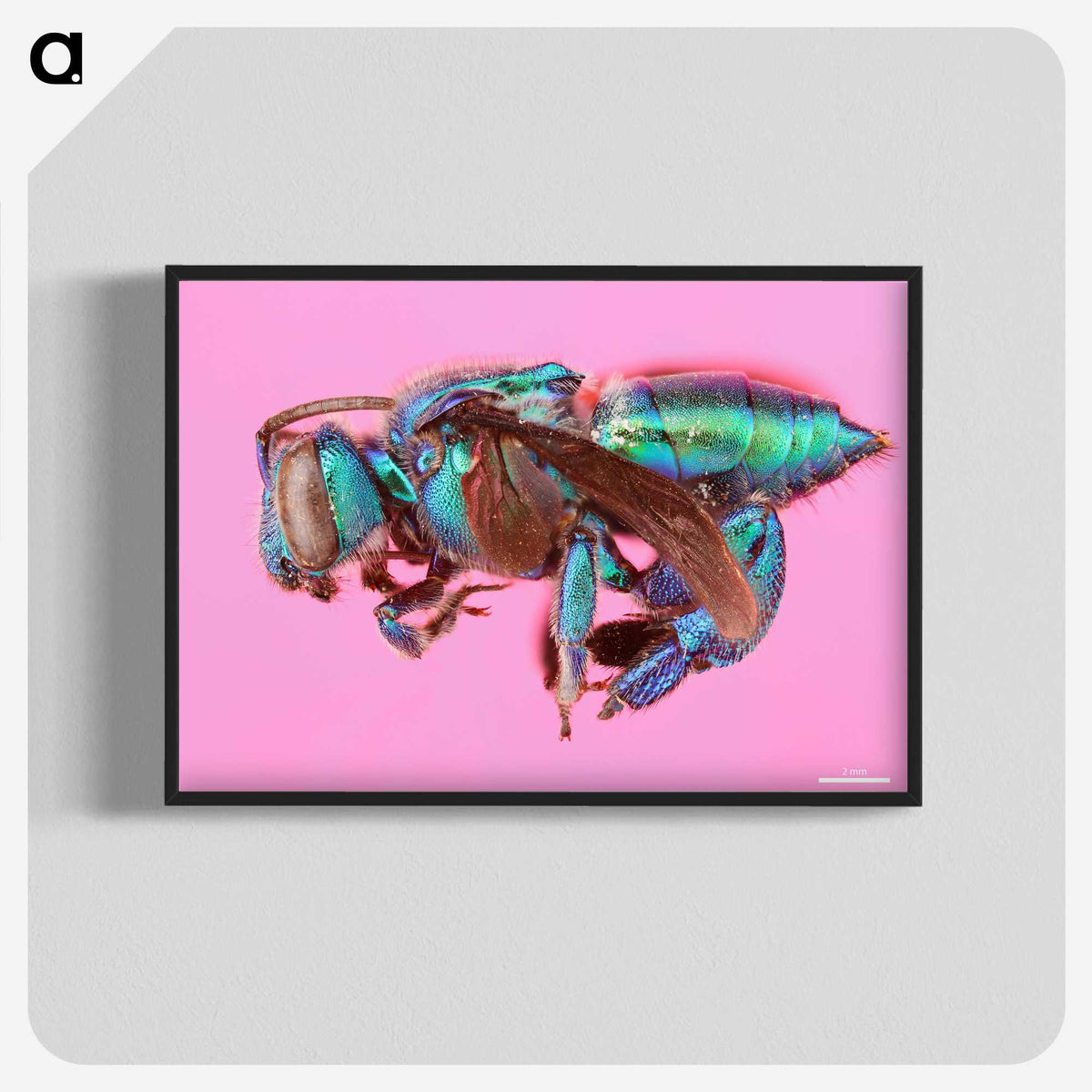 1-30_Insects-Unlocked-Project_blk-crop
