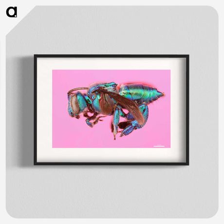 1-30_Insects-Unlocked-Project_blk
