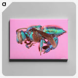 1-30_Insects-Unlocked-Project_canvas