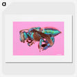 1-30_Insects-Unlocked-Project_picture