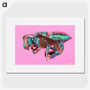 1-30_Insects-Unlocked-Project_picture
