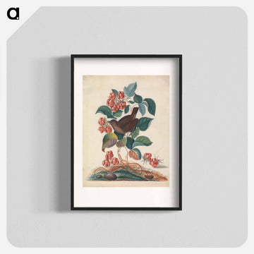 Eurasian Wren and Companions
 - ジェームズ ボルトン Poster.