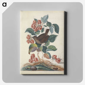 1-30_James-Bolton_canvas