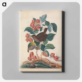 アートパネル-Eurasian Wren and Companions
 - ジェームズ ボルトン Canvas.