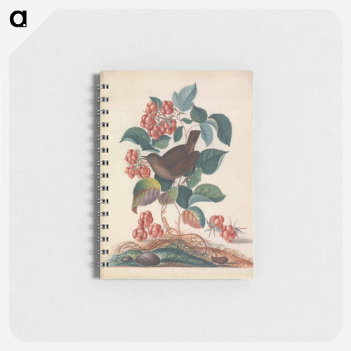 Eurasian Wren and Companions
 - ジェームズ ボルトン Memo.