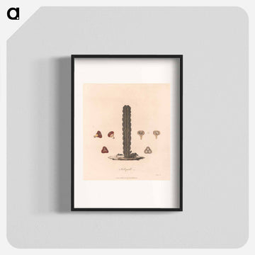 Kolquall
 - ジェームス ヒース Poster.