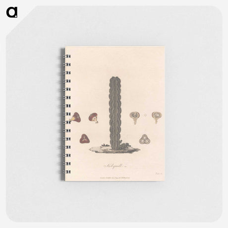 1-30_James-Heath_memo
