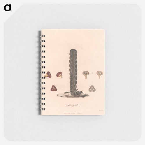 Kolquall
 - ジェームス ヒース Memo.