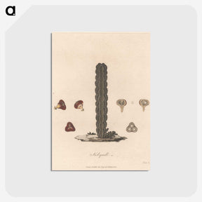 1-30_James-Heath_postcard