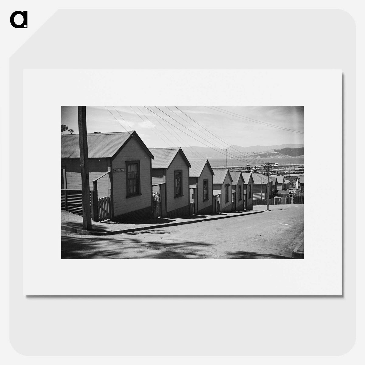 1-30_James-Walter-Chapman-Taylor_picture