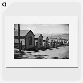 1-30_James-Walter-Chapman-Taylor_picture