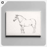 アートパネル-Standing horse - ジャン ベルナール Canvas.