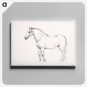 アートパネル-Standing horse - ジャン ベルナール Canvas.