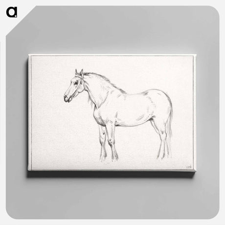 アートパネル-Standing horse - ジャン ベルナール Canvas.