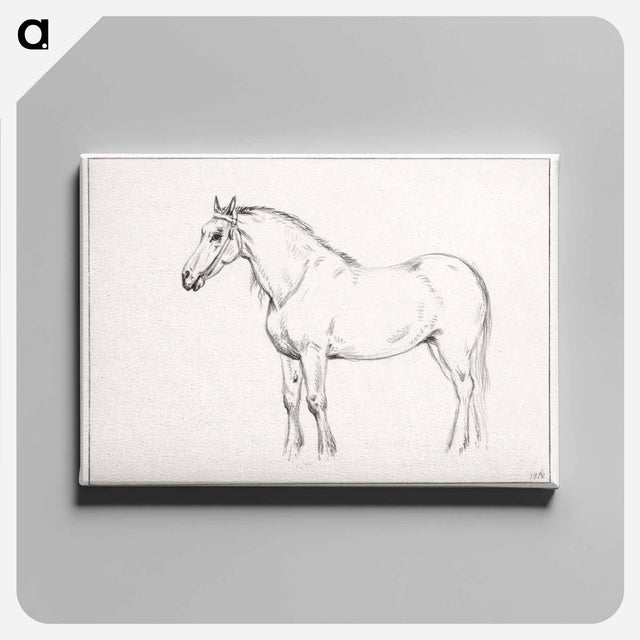 アートパネル-Standing horse - ジャン ベルナール Canvas.