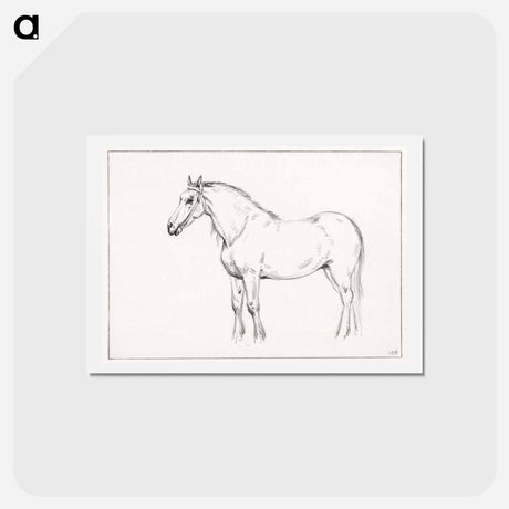 アートポストカード-Standing horse - ジャン ベルナール Postcard.