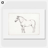 1-30_Jean-Bernard_picture