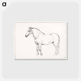 アートポストカード-Standing horse - ジャン ベルナール Postcard.