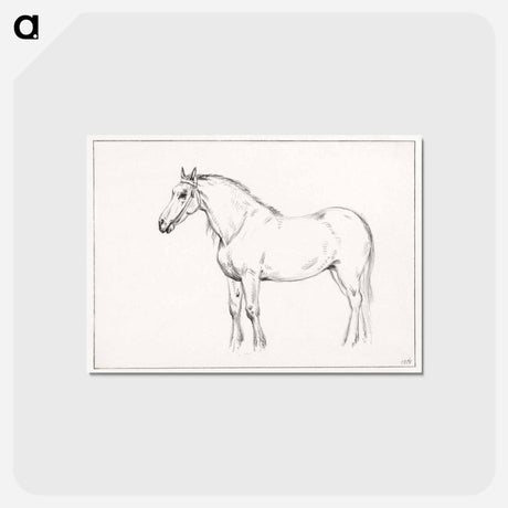 アートポストカード-Standing horse - ジャン ベルナール Postcard.