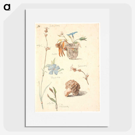 1-30_Johan-Thomas-Lundbye_picture