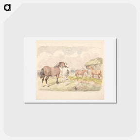アートポストカード-Five Horses near a Brook
 - ジョン フレデリック ヘリング Postcard.