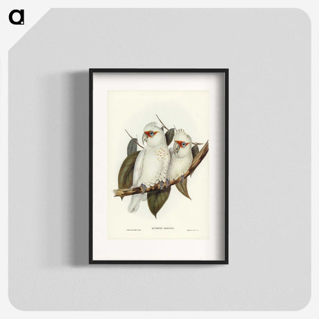 1-30_John-Gould_blk