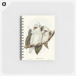 1-30_John-Gould_memo