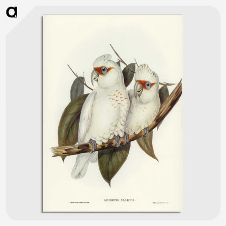 1-30_John-Gould_picture-crop