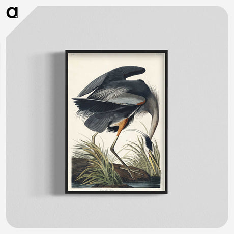 1-30_John-James-Audubon_blk-crop
