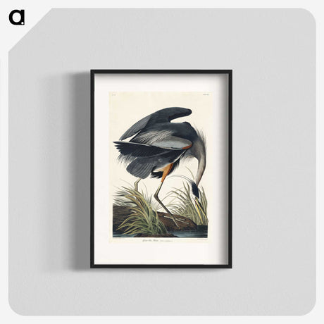 1-30_John-James-Audubon_blk