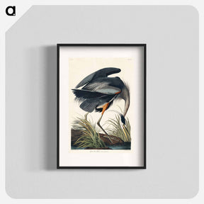 アートポスター-Great Blue Heron
 - ジョン ジェームス オーデュボン Poster.