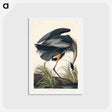 アートポストカード-Great Blue Heron
 - ジョン ジェームス オーデュボン Postcard.