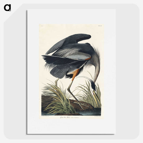 1-30_John-James-Audubon_picture