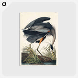 アートポストカード-Great Blue Heron
 - ジョン ジェームス オーデュボン Postcard.