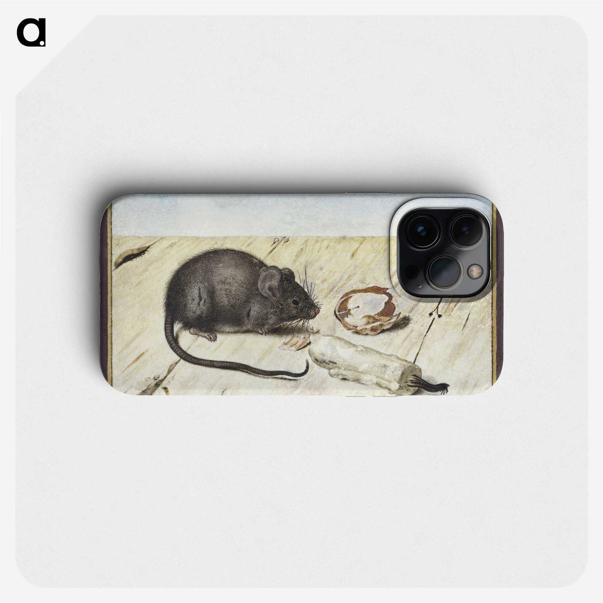 1-30_Joris-Hoefnagel_phone